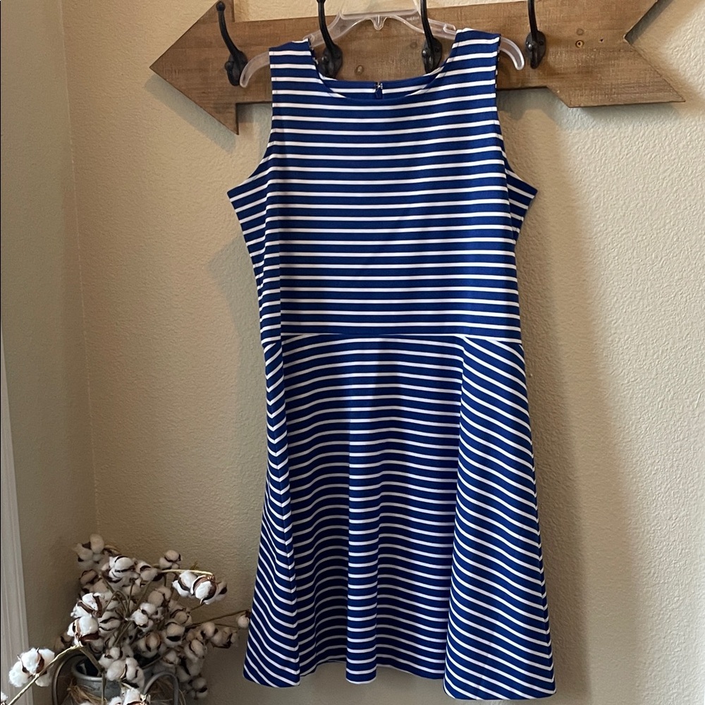 Talbots Blue and White Striped Dress 1X